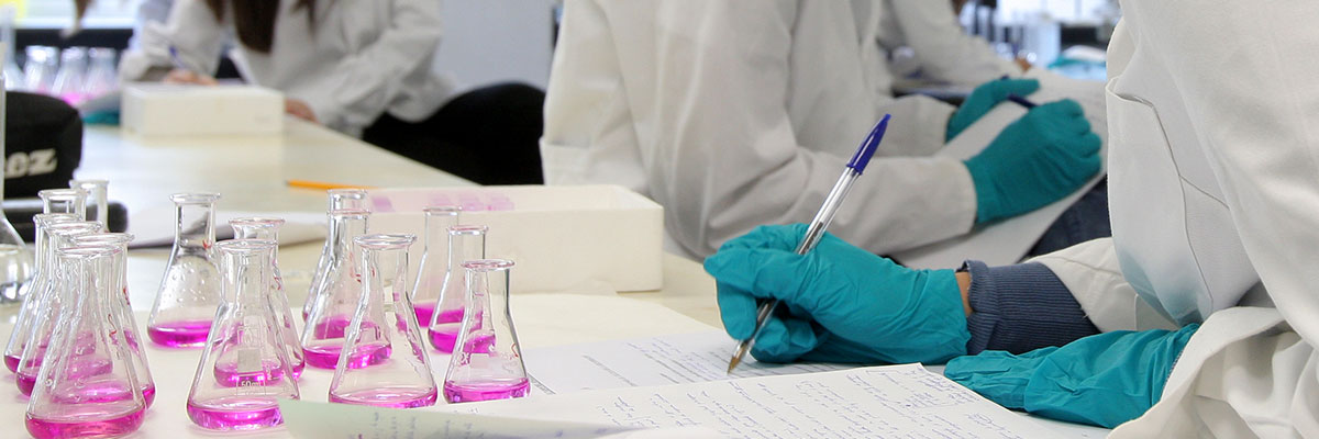 Investigadores del Cima Universidad de Navarra cumplimentando documentos